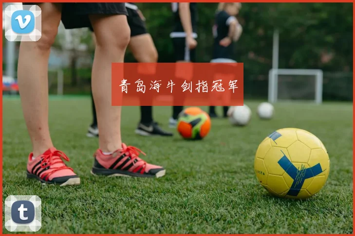 青岛海牛剑指冠军
