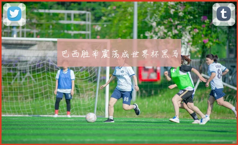 巴西胜率震荡成世界杯黑马