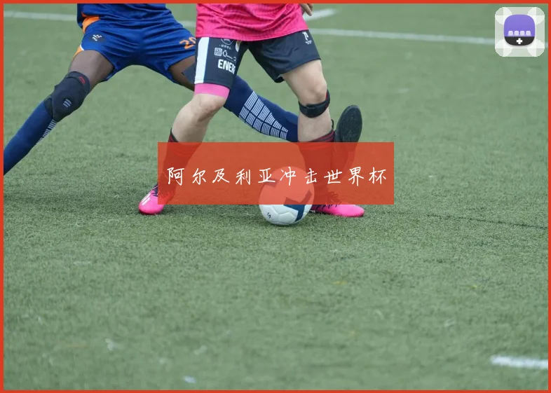 阿尔及利亚冲击世界杯