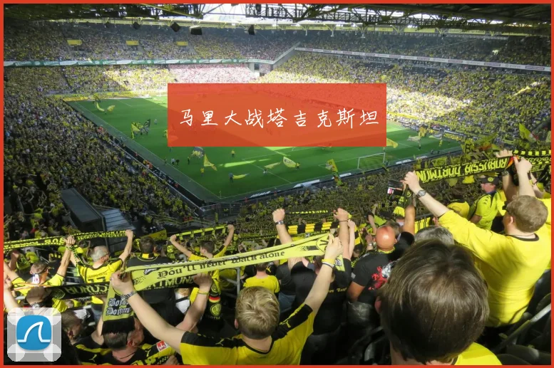 马里大战塔吉克斯坦