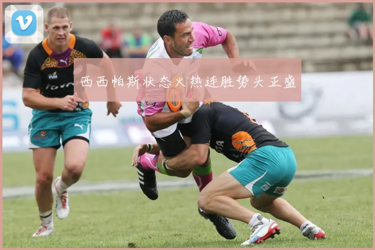 西西帕斯状态火热连胜势头正盛