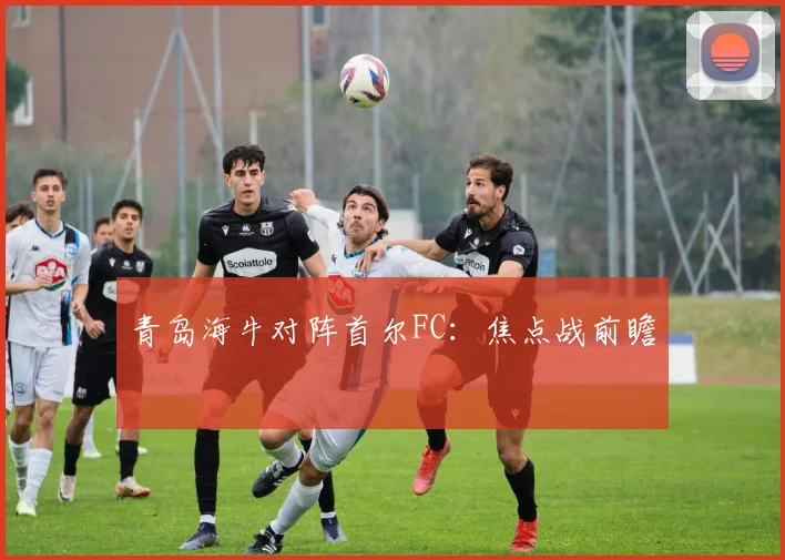 青岛海牛对阵首尔FC：焦点战前瞻