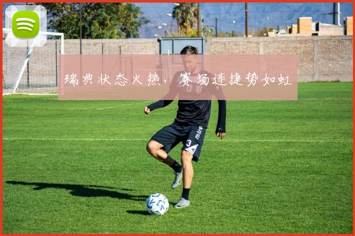 瑞典状态火热，赛场连捷势如虹