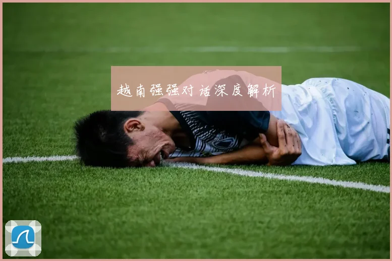 越南强强对话深度解析