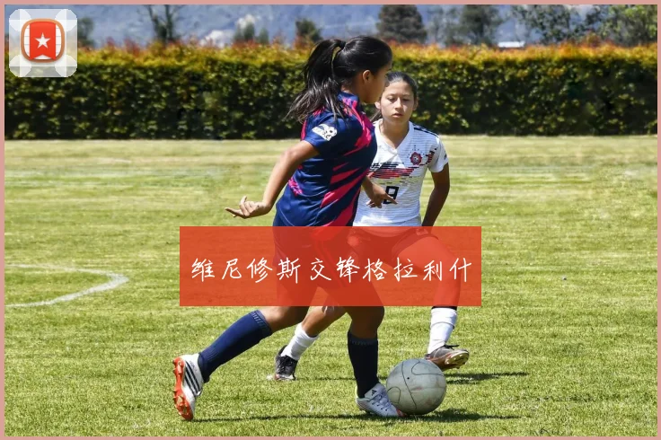 维尼修斯交锋格拉利什