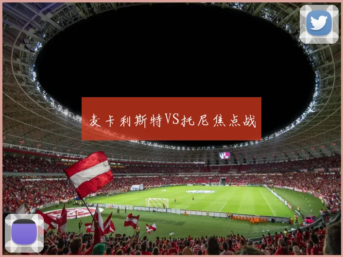 麦卡利斯特VS托尼焦点战