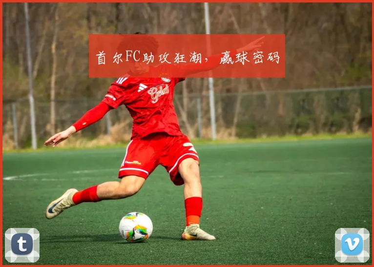 首尔FC助攻狂潮，赢球密码