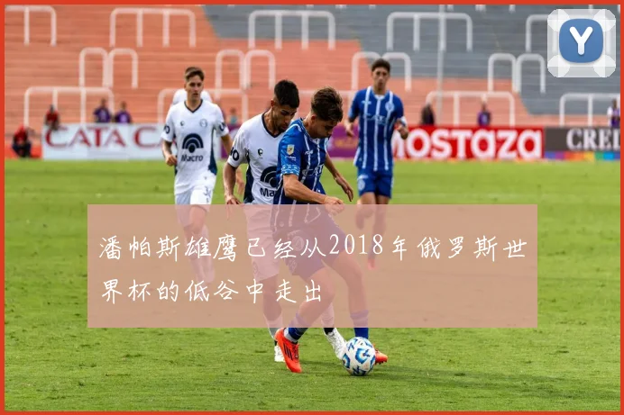 潘帕斯雄鹰已经从2018年俄罗斯世界杯的低谷中走出