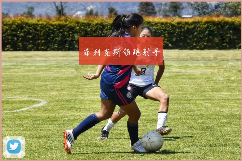 菲利克斯领跑射手