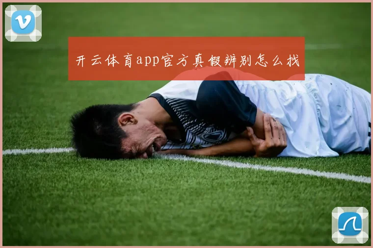 开云体育app官方真假辨别怎么找