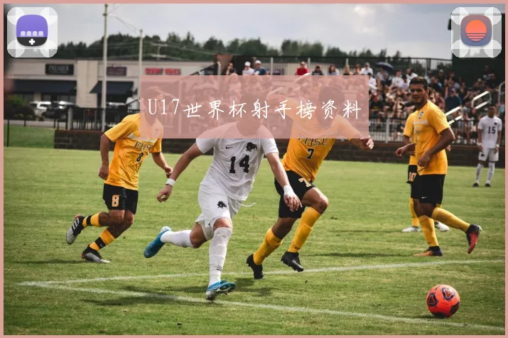 U17世界杯射手榜资料