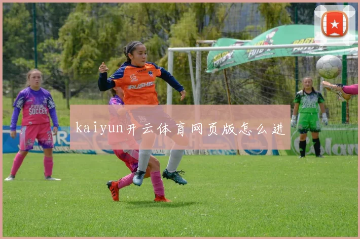 kaiyun开云体育网页版怎么进
