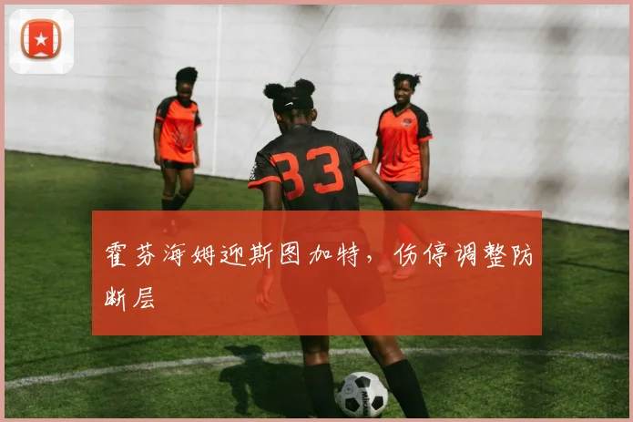 霍芬海姆迎斯图加特，伤停调整防断层