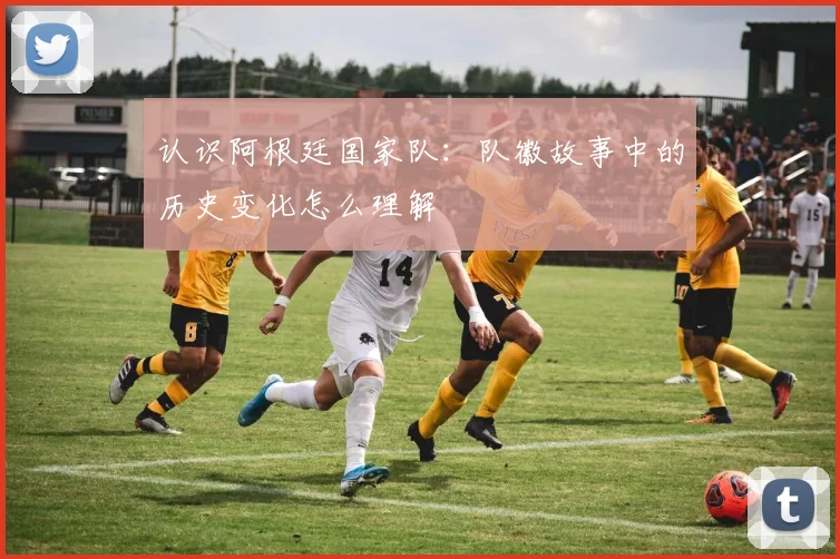 认识阿根廷国家队:队徽故事中的历史变化怎么理解